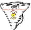 Kalhotky - �ek�m na Tv�j kl��ek