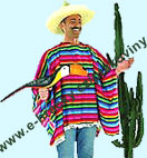 Poncho