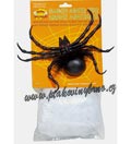 Pavu�ina s velk�m pavoukem