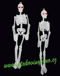 Kostra sv�t�c� (2ks)
